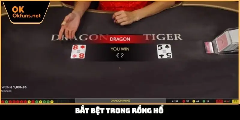 Bắt bệt trong rồng hổ