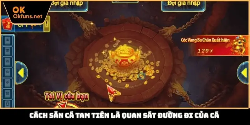 Cách săn cá tam tiên là quan sát đường đi của cá
