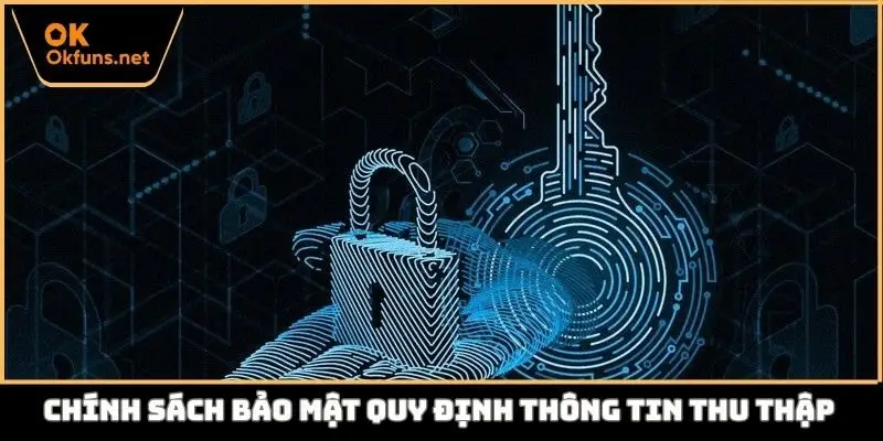 Chính sách bảo mật quy định thông tin thu thập