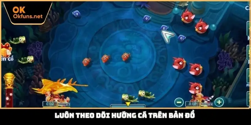 Luôn theo dõi hướng cá trên bản đồ