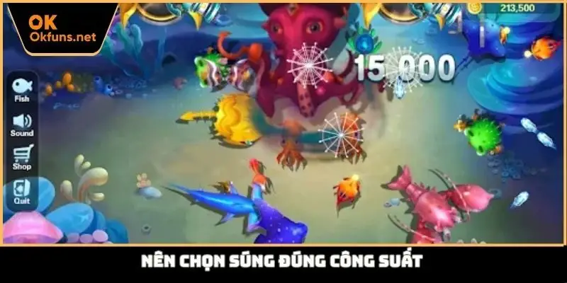 Nên chọn súng đúng công suất